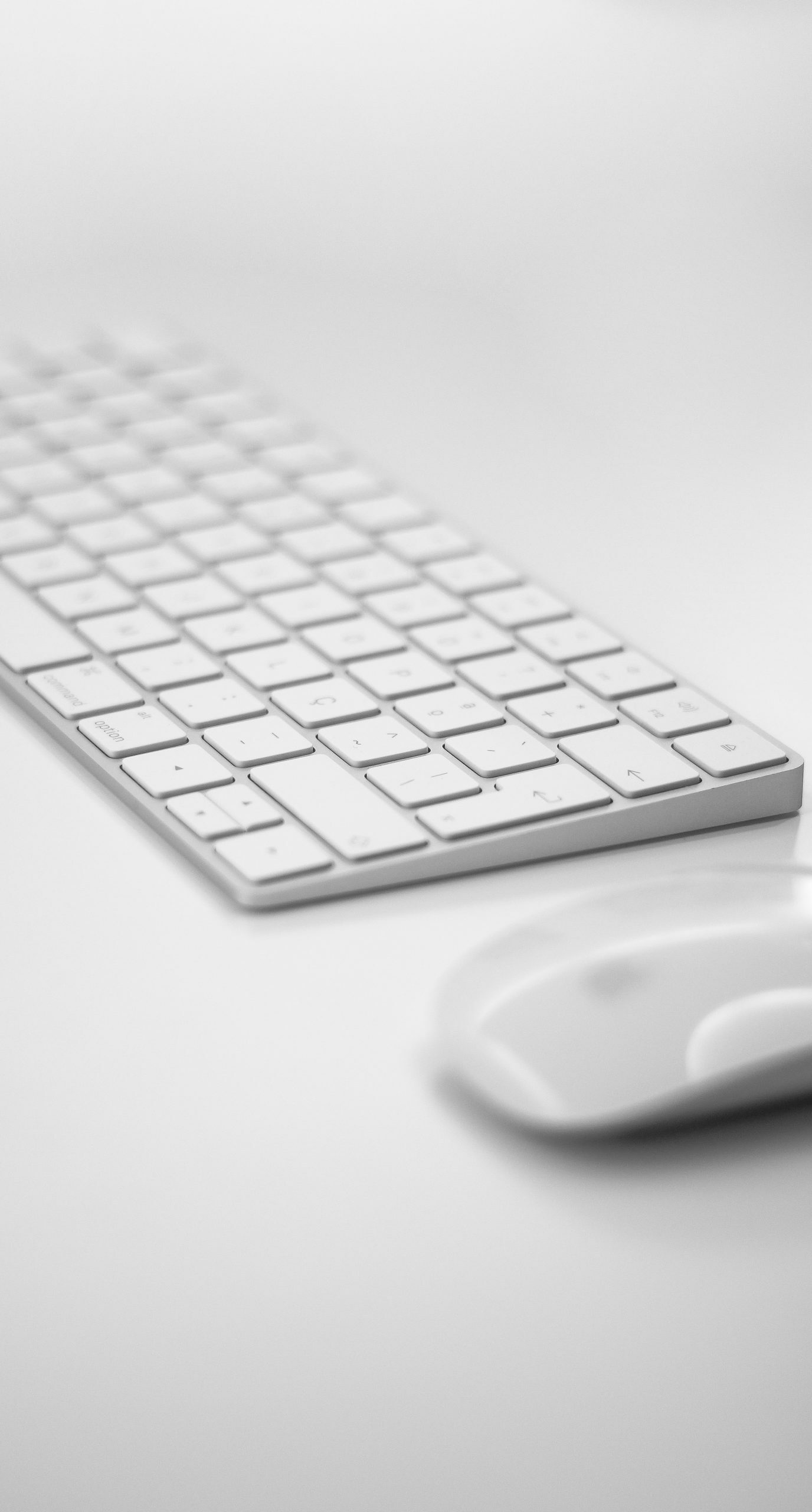 Technical training support services, customer services