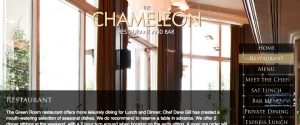 The Chameleon Birmingham - Bogdan Ciocoiu